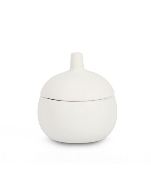 Vela “CANISTER” – BIZZOTTO