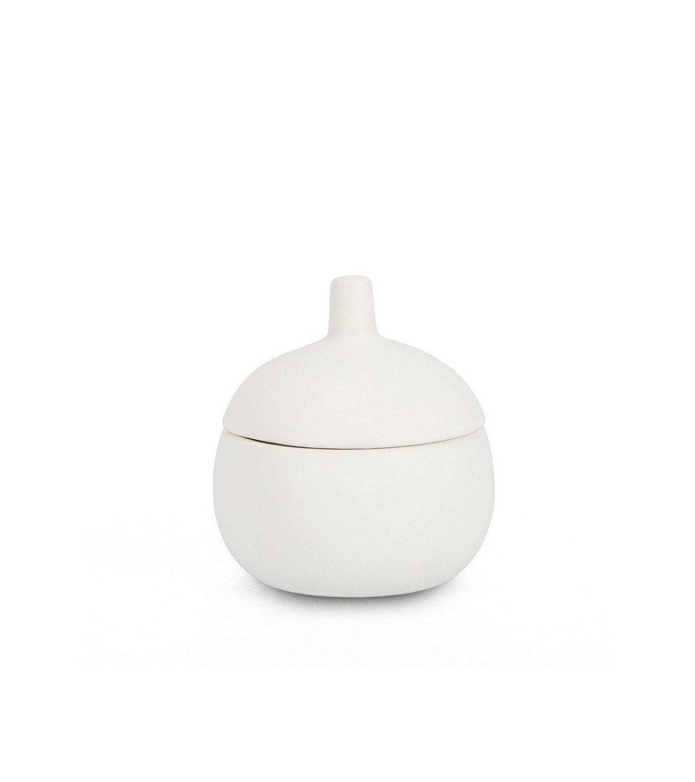 Vela “CANISTER” – BIZZOTTO