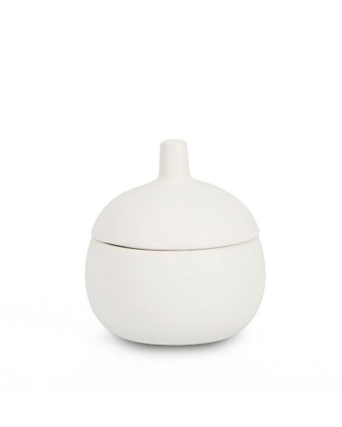 Vela “CANISTER” – BIZZOTTO