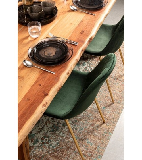 Silla “TERRY” – BIZZOTTO