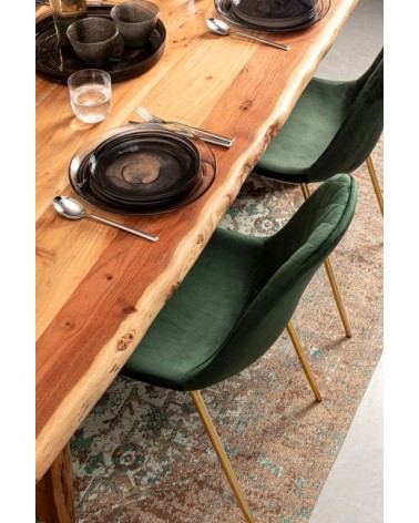 Silla “TERRY” – BIZZOTTO