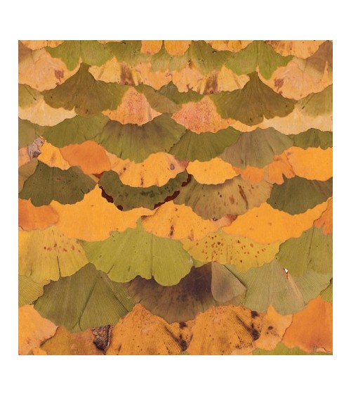 Tapete Ginko Biloba INKIOSTRO BIANCO