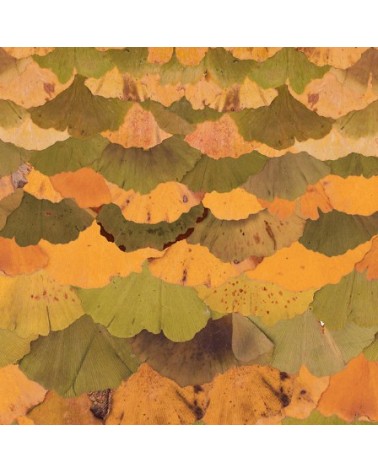 Papel pintado Ginko Biloba INKIOSTRO BIANCO