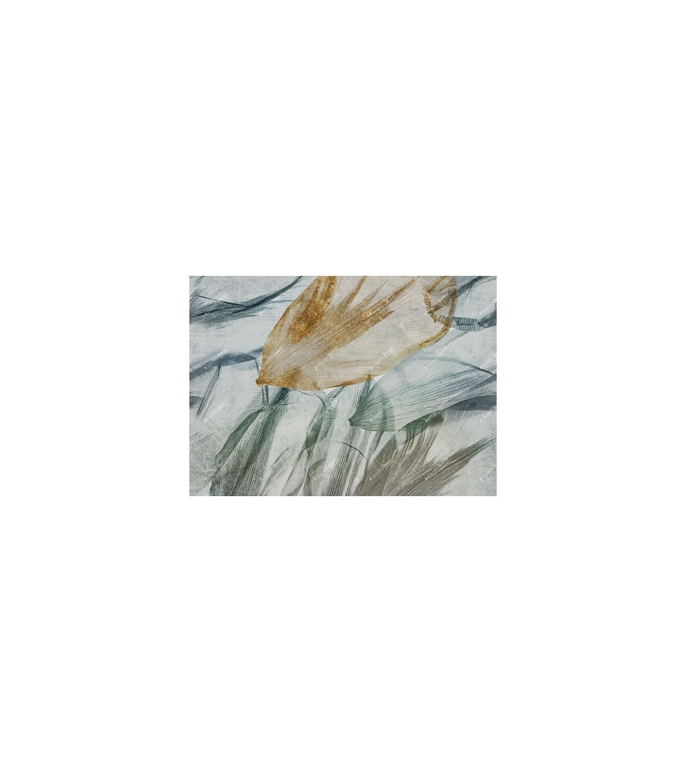 Tapete Crocus INKIOSTRO BIANCO | BHOME