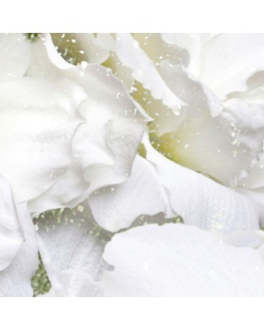 Papel pintado Iceflor INKIOSTRO BIANCO | BHOME