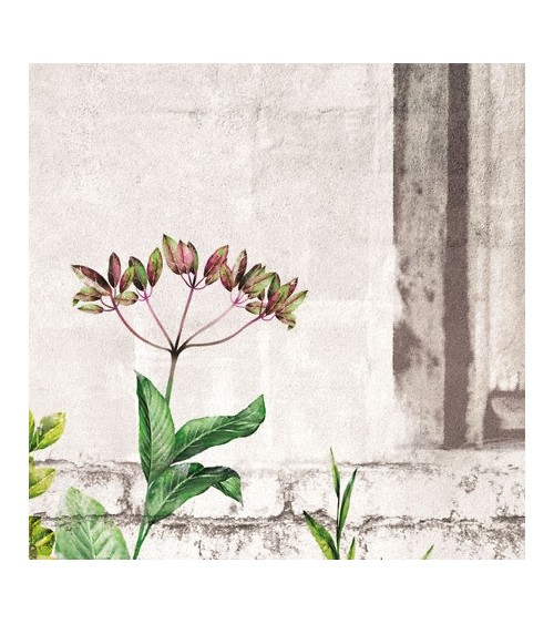 Wallpaper Camporella INKIOSTRO BIANCO | BHOME