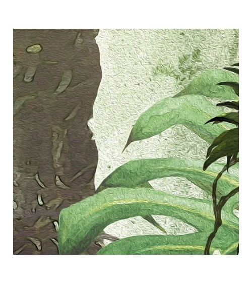 Wallpaper Mowgli INKIOSTRO BIANCO | BHOME