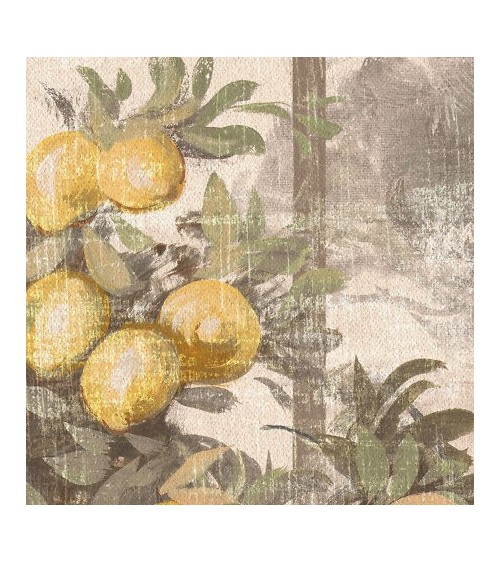 Wallpaper Toscana INKIOSTRO BIANCO | BHOME