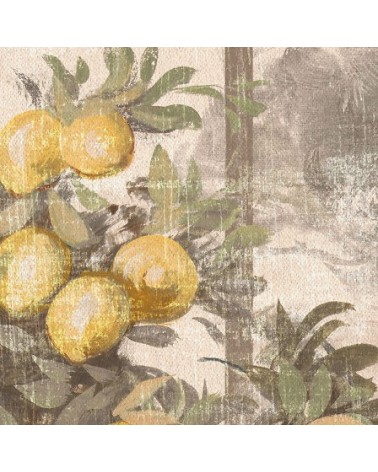 Tapete Toscana INKIOSTRO BIANCO | BHOME