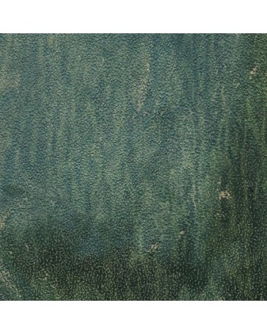 Papel pintado Viridian INKIOSTRO BIANCO | BHOME