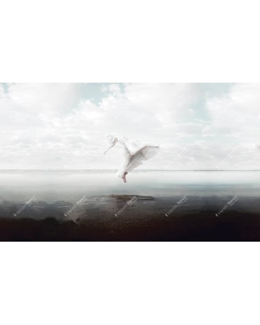 Wallpaper The white sky INKIOSTRO BIANCO | BHOME