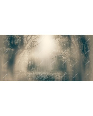 Wallpaper Moonlight INKIOSTRO BIANCO | BHOME