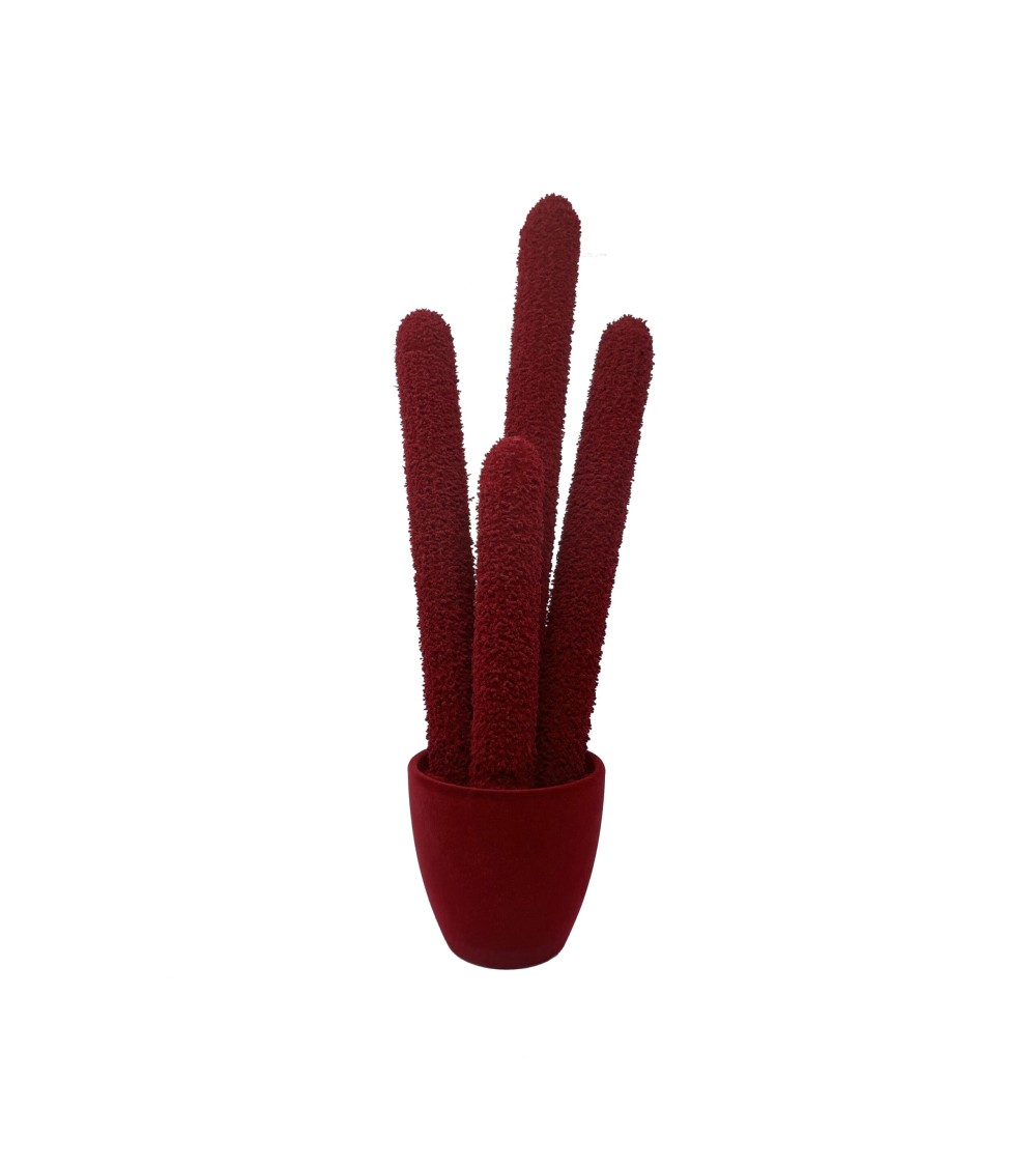 Long Cactus Velvet Adriani e Rossi | Bhome by Arredi Barbàra