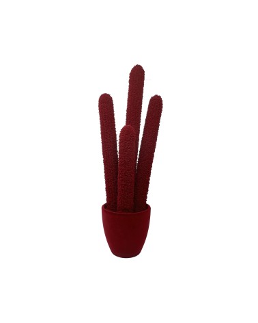 Long Cactus Velvet Adriani e Rossi | Bhome by Arredi Barbàra