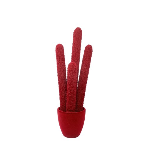 Long Cactus Velvet Adriani e Rossi | Bhome by Arredi Barbàra