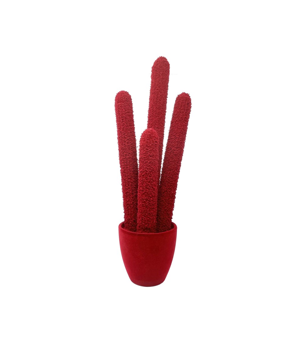 Long Cactus Velvet Adriani e Rossi | Bhome by Arredi Barbàra