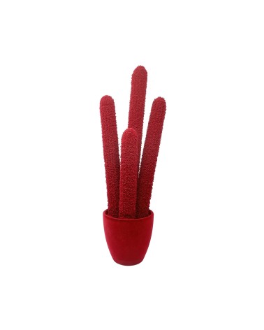 Long Cactus Velvet Adriani e Rossi | Bhome by Arredi Barbàra