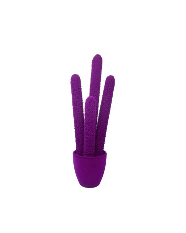 Long Cactus Velvet Adriani e Rossi | Bhome by Arredi Barbàra