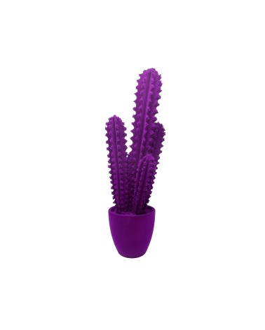 Pickly Cactus Velvet Adriani e Rossi | Bhome by Arredi Barbàra