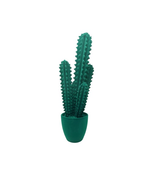 Pickly Cactus Velvet Adriani e Rossi | Bhome by Arredi Barbàra