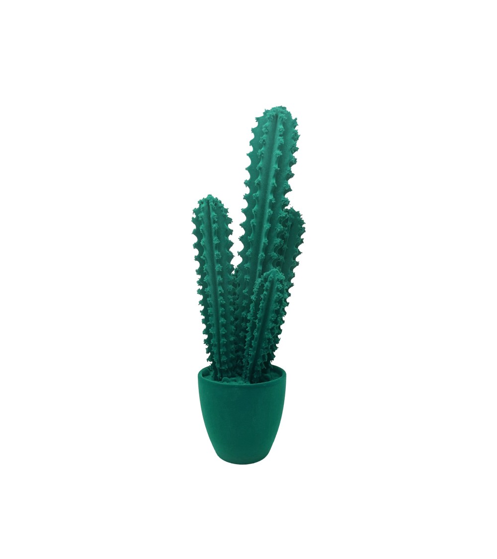 Pickly Cactus Velvet Adriani e Rossi | Bhome by Arredi Barbàra