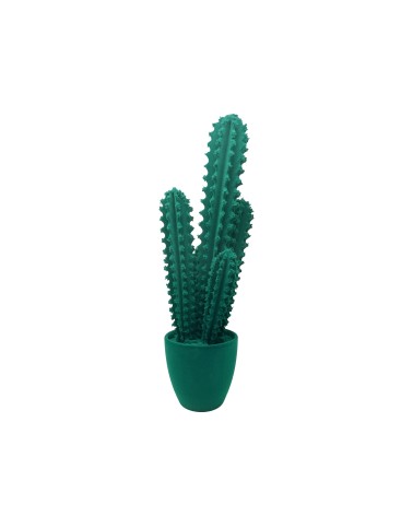 Pickly Cactus Velvet Adriani e Rossi | Bhome by Arredi Barbàra