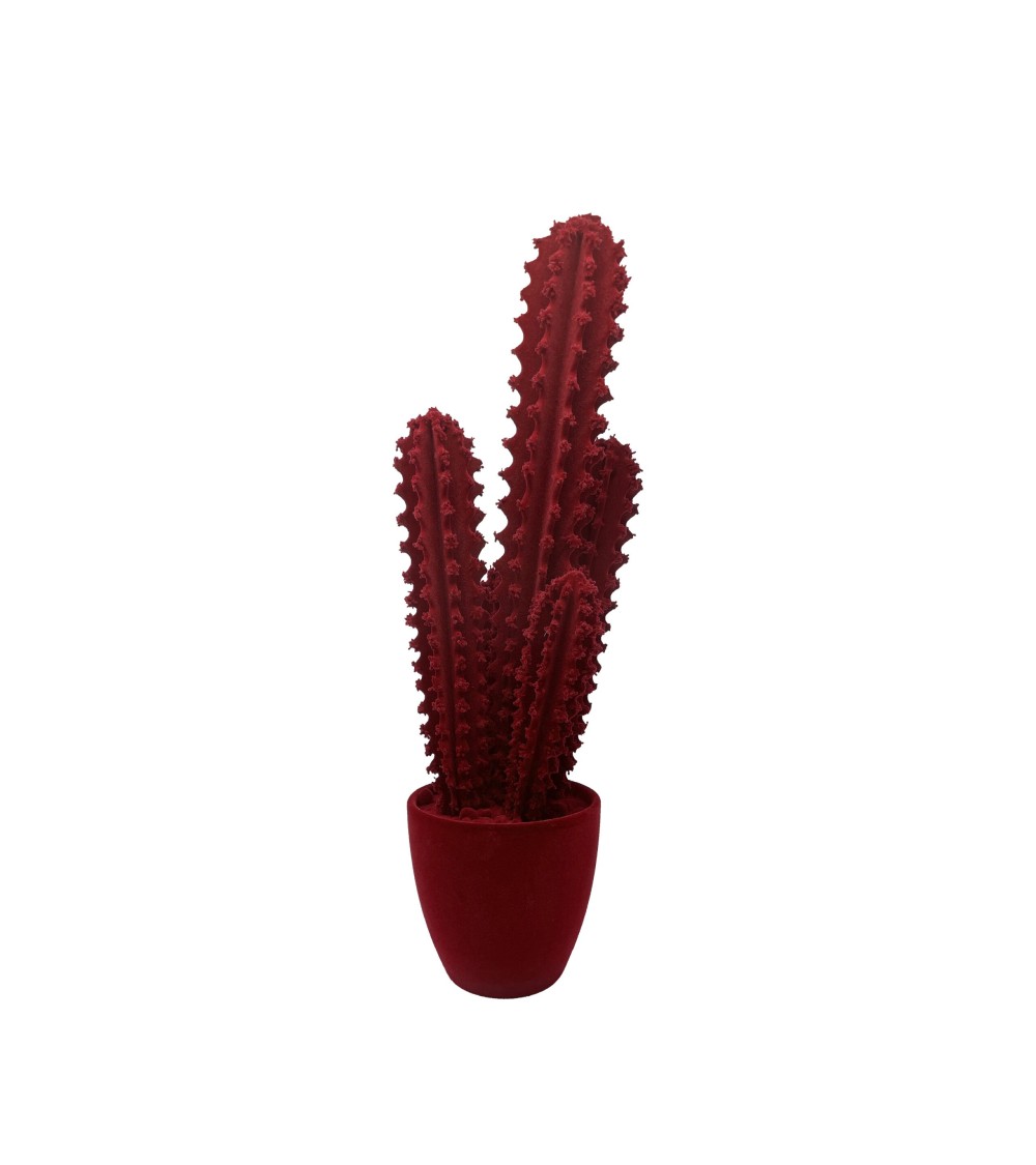 Pickly Cactus Velvet Adriani e Rossi | Bhome by Arredi Barbàra