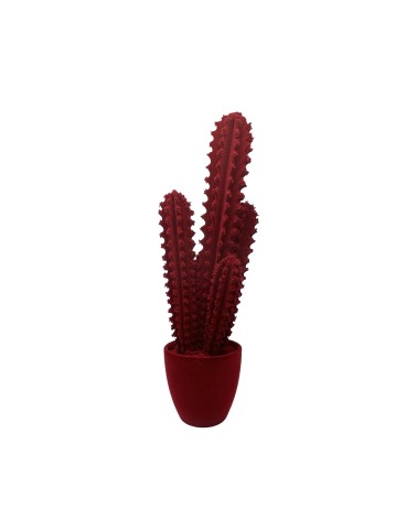 Pickly Cactus Velvet Adriani e Rossi | Bhome by Arredi Barbàra