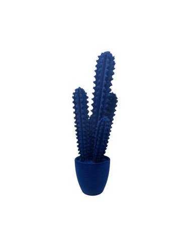 Pickly Cactus Velvet Adriani e Rossi | Bhome by Arredi Barbàra