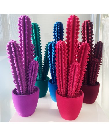 Pickly Cactus Velvet Adriani e Rossi | Bhome by Arredi Barbàra