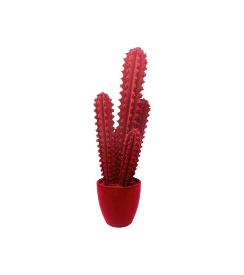 Pickly Cactus Velvet Adriani e Rossi | Bhome by Arredi Barbàra