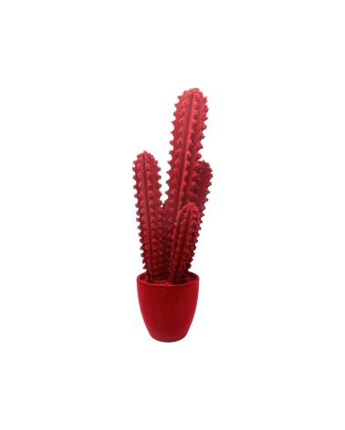 Pickly Cactus Velvet Adriani e Rossi | Bhome by Arredi Barbàra