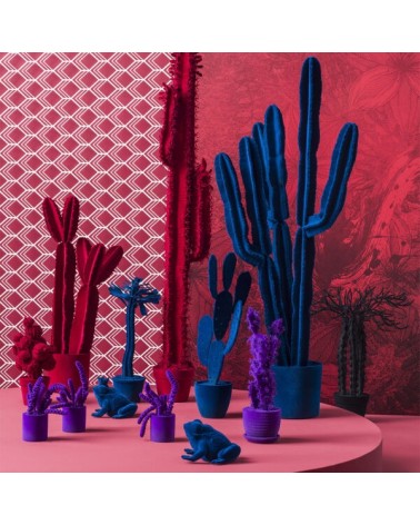 Cactus Cereus Velvet Adriani e Rossi | Bhome by Arredi Barbàra
