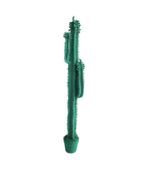 Cactus Cereus Velvet Adriani e Rossi | Bhome by Arredi Barbàra