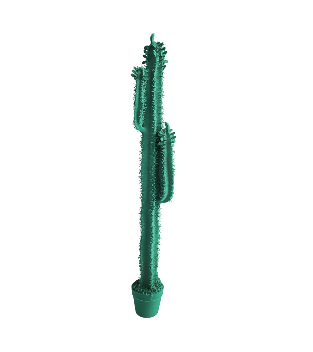 Cactus Cereus Velvet Adriani e Rossi | Bhome by Arredi Barbàra