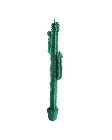 Cactus Cereus Velvet Adriani e Rossi | Bhome by Arredi Barbàra
