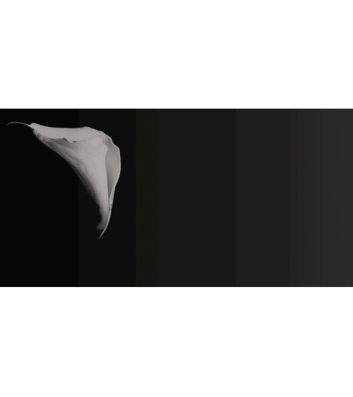 Tapete “Calla” – TONIN CASA | BHOME by Arredi Barbàra
