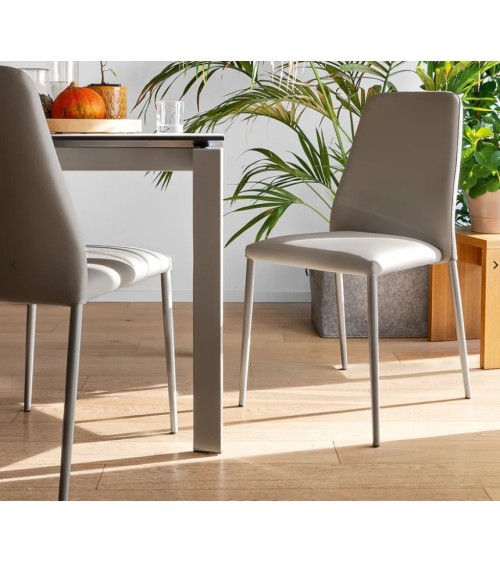 Club Stuhl CONNUBIA Taupe | Bhome by Arredi Barbàra