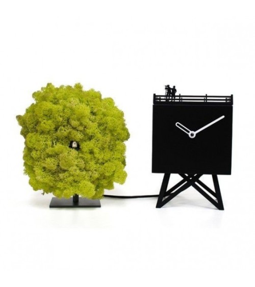 Birdwatching clock PROGETTI | BHOME by Arredi Barbàra