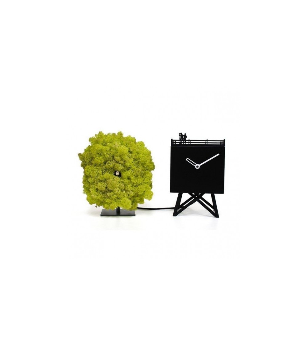 Reloj Birdwatching PROGETTI | BHOME by Arredi Barbàra