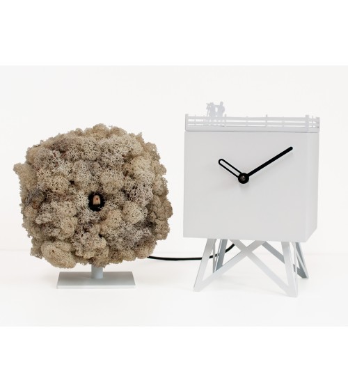 Reloj Birdwatching PROGETTI | BHOME by Arredi Barbàra