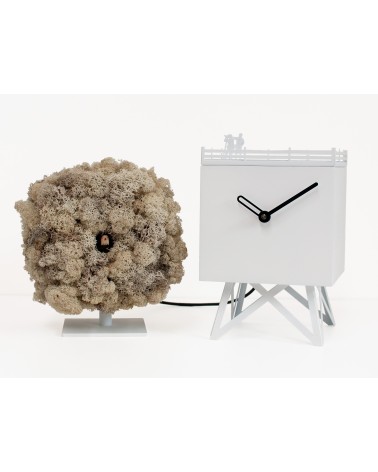 Orologio Birdwatching PROGETTI | BHOME Arredi Barbàra