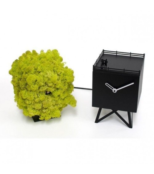 Orologio Birdwatching PROGETTI | BHOME Arredi Barbàra