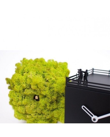 Reloj Birdwatching PROGETTI | BHOME by Arredi Barbàra