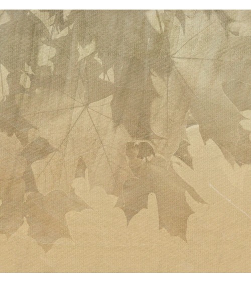 Meta Title: Carta da parati “Creative Leaves” – TONIN CASA | BHOME by Arredi Barbàra