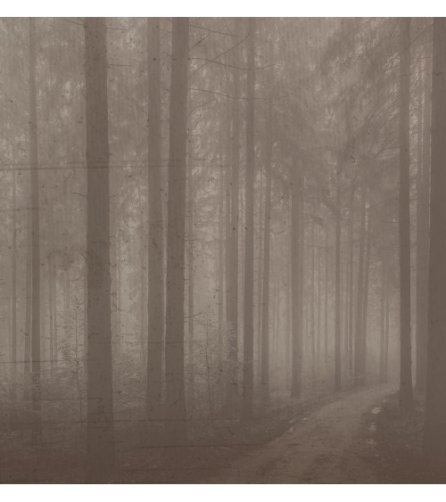 Papel pintado “Night Forest” – TONIN CASA