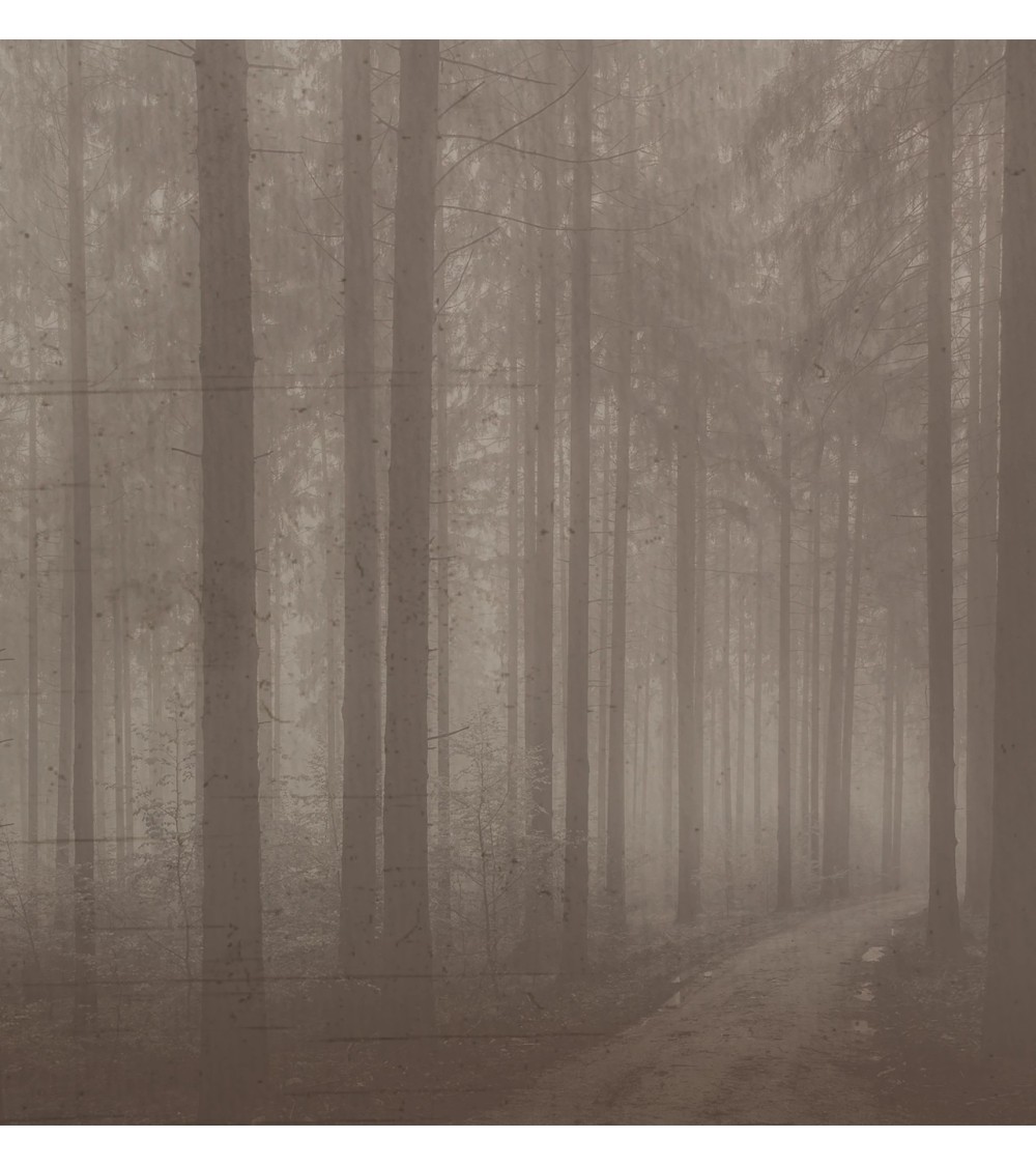Papel pintado “Night Forest” – TONIN CASA