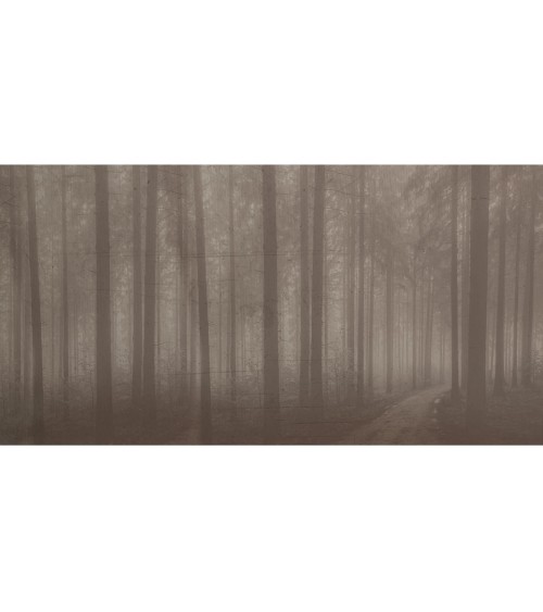 Papel pintado “Night Forest” – TONIN CASA