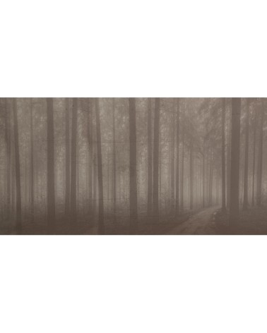 Papel pintado “Night Forest” – TONIN CASA