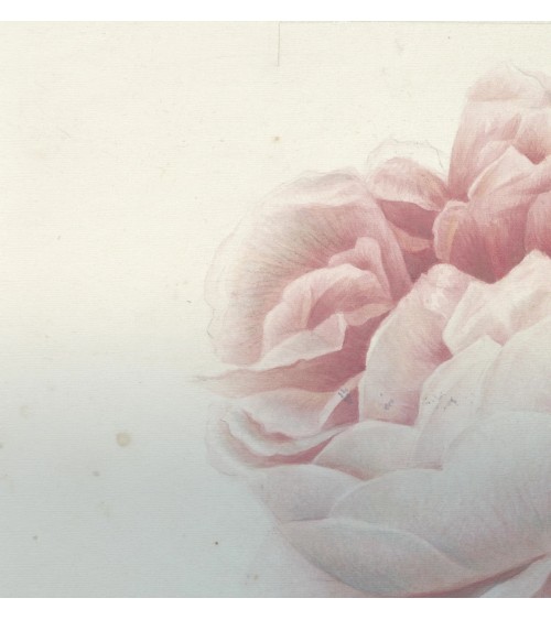 Wallpaper “Romantic Flower” – TONIN CASA | BHOME by Arredi Barbàra